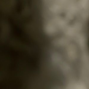 Meet your Posher, Isabelle